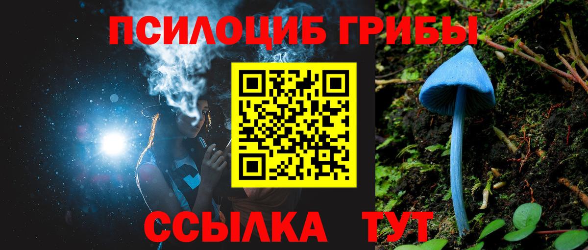 Псилоцибиновые грибы GOLDEN TEACHER Нерюнгри