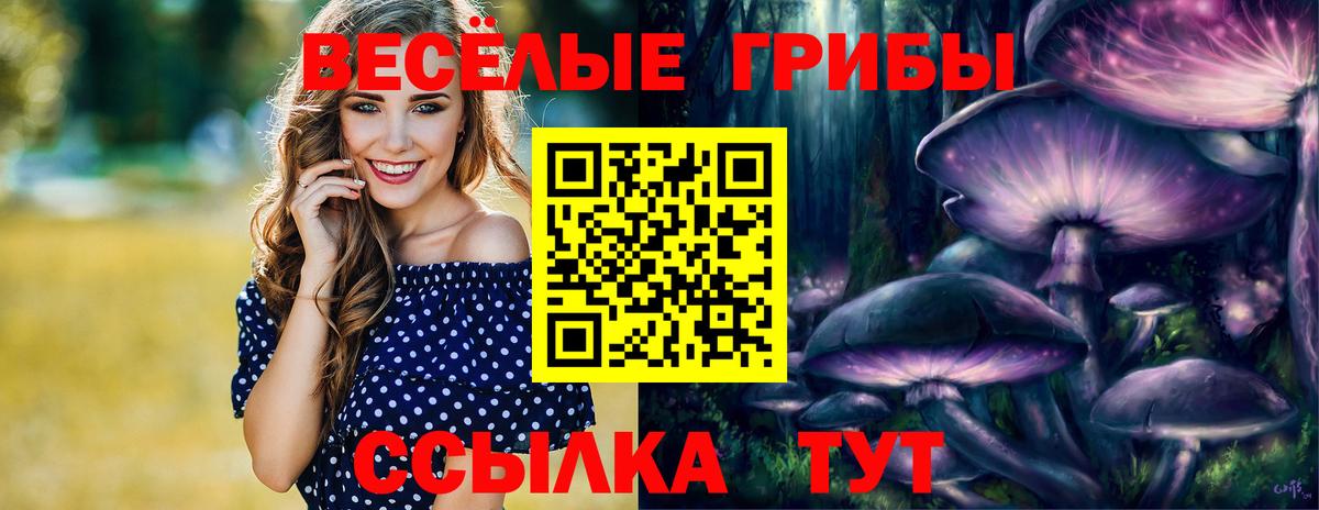 Нерюнгри  Псилоцибиновые грибы Psilocybine cubensis  Вход с VPN 