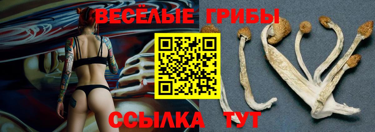 Лсд 25 Нерюнгри